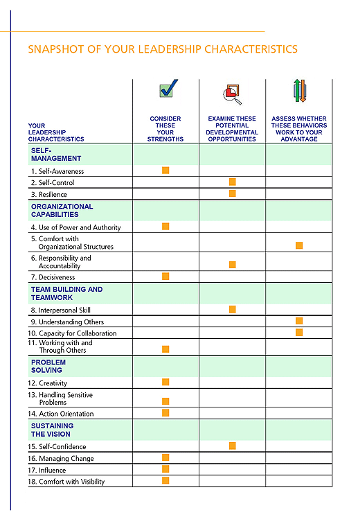 leadership assessment test